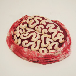Cervelle de Zombie