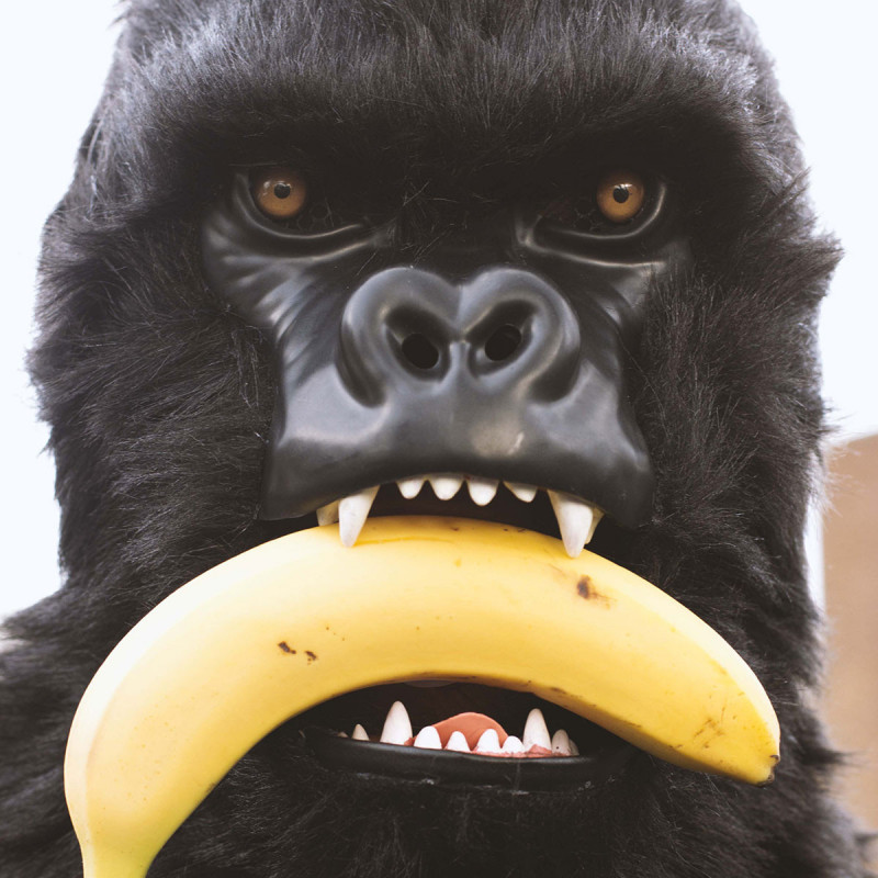 Masque de singe gorille avec bouche qui s’ouvre lorsque l
