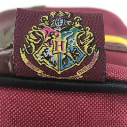 CERDÁ LIFE'S LITTLE MOMENTS Trousse de Toilette Transparente Harry Potter  avec Accessoires Pour Cheveux - Liecen Officielle Warner Bros Accessoires  de Voyage Fille - Trousse de Toilette Multicolore, : : Mode