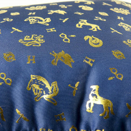 Coussin Premium Harry Potter Poudlard