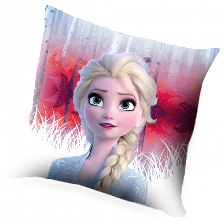 Coussin La Reine des Neiges 2 Disney