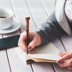 Stylo Harry Potter Baguette Magique