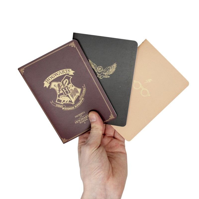Porte-passeport Harry Potter Hedwig 