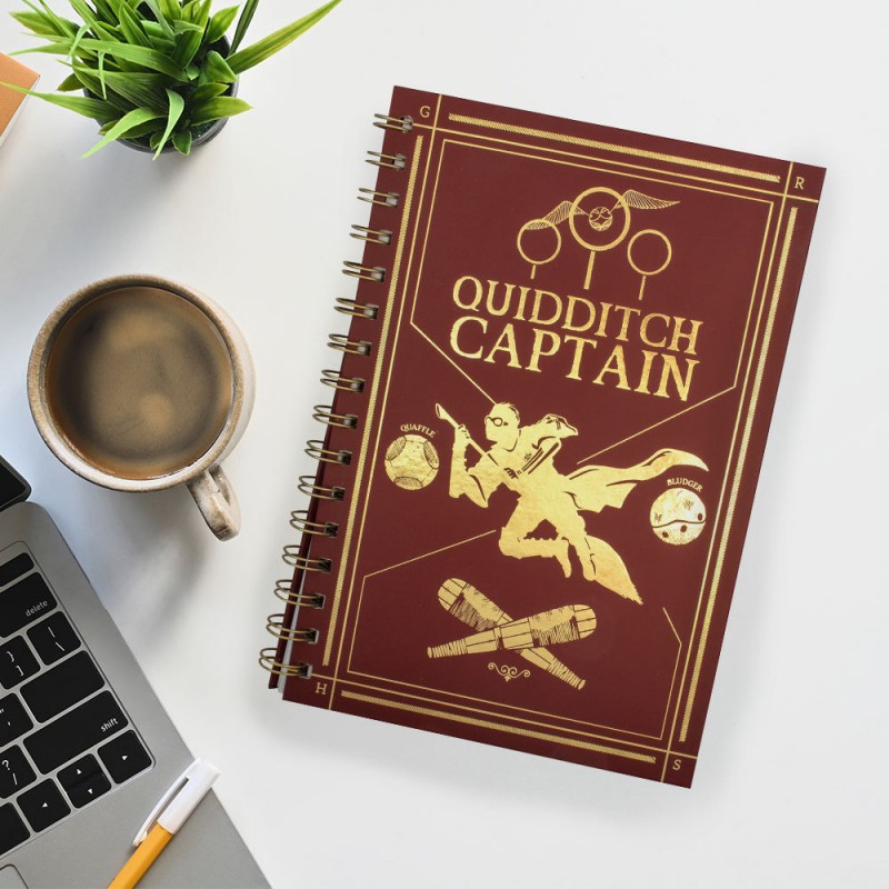 carnet harry potter captain quidditch