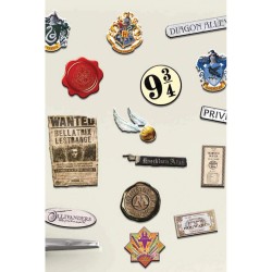 Aimants pour Frigo Harry Potter - Lot de 21