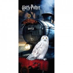 Serviette de Plage Harry Potter Hedwige / Poudlard Express