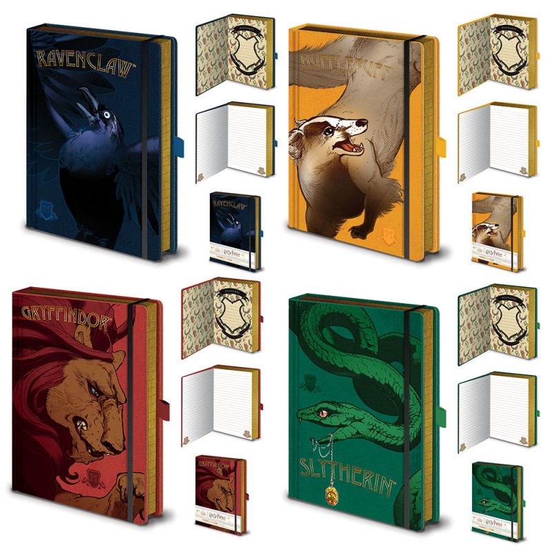 Carnets Boutique Harry Potter