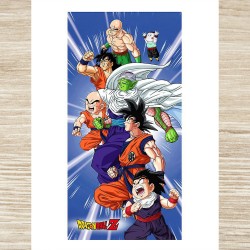 Serviette de Plage Dragon Ball Z Personnages