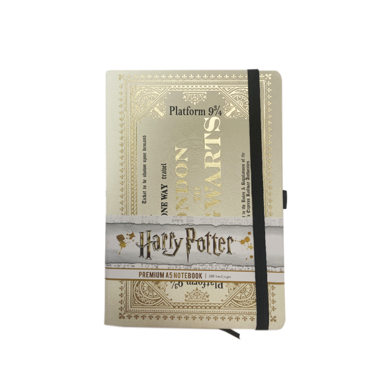 Carnet Premium Maison Harry Potter