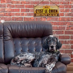 Plaque Métallique Ici C'est le Chien qui fait la Loi