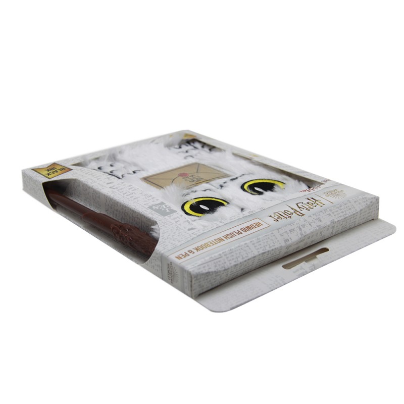 Carnet Harry Potter et stylo baguette magique pour écolier sur