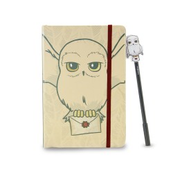 Set Journal Intime et Stylo Harry Potter