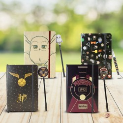 Set Journal Intime et Stylo Harry Potter