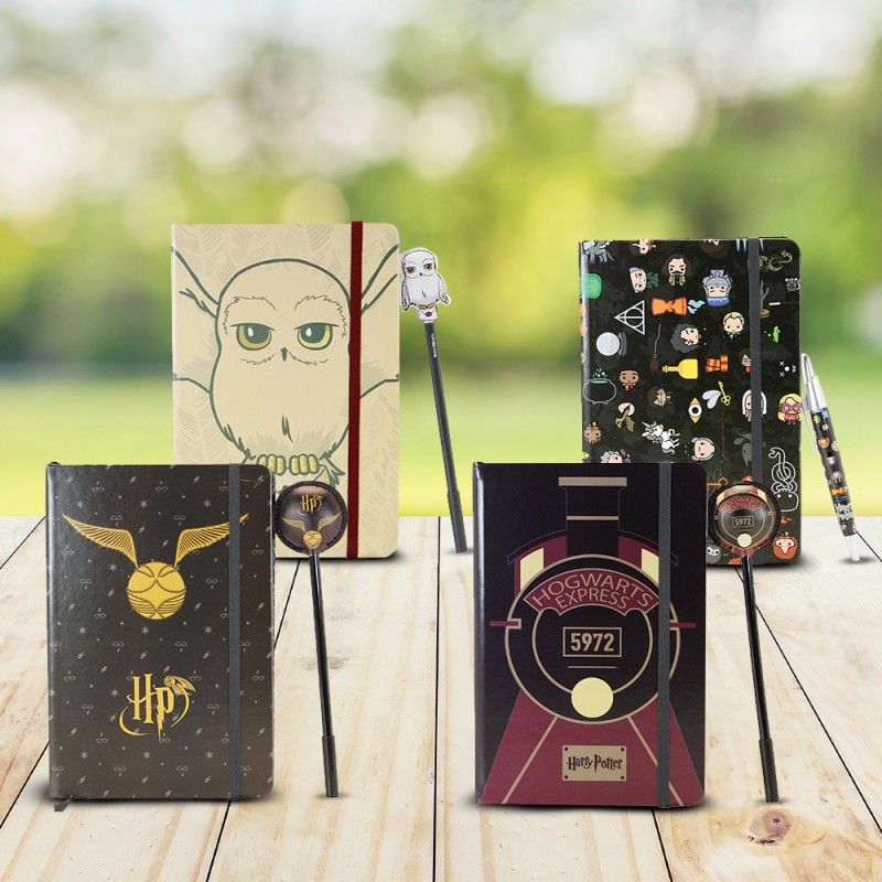 Set journal intime et stylo Harry Potter Ultra Geek sur Rapid Cadeau