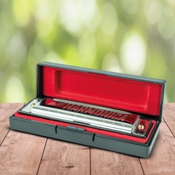 https://www.rapid-cadeau.com/36006-home_default/harmonica-metallique-avec-coffret.jpg