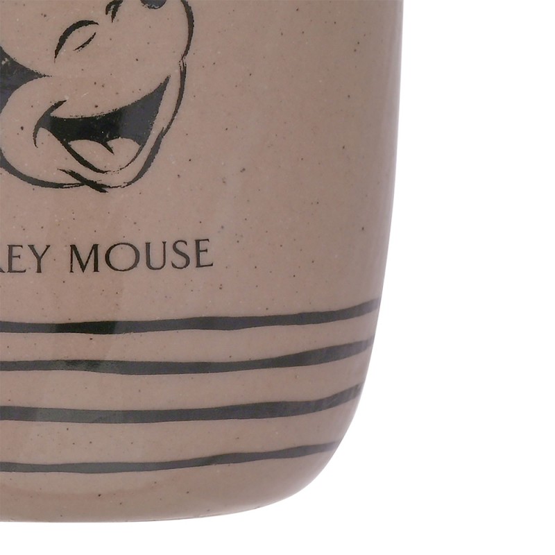 Plante en Pot Mickey Mouse Disney avec Déco Galets sur Rapid Cadeau