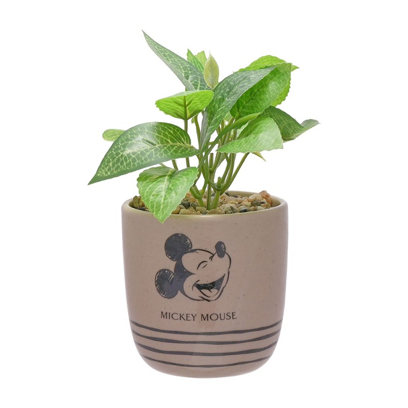 Plante en Pot Mickey Mouse Disney avec Déco Galets sur Rapid Cadeau