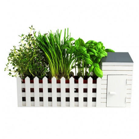 Devenez un véritable jardinier en vous entraînant avec ce kit de jardinage d'intérieur ! Agrémentez votre maison de plantes aromatiques qui, en plus de décorer vos plats, vont les parfumer !