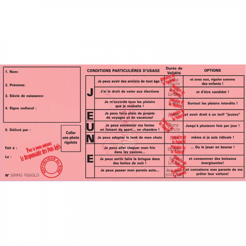 Permis De Prendre La Retraite Achat Cadeau Anniversaire