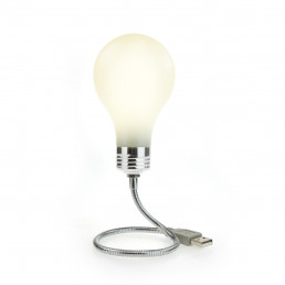 Lampe Usb Ampoule Phosphorescente