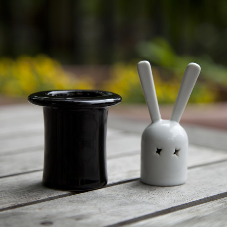 Apportez de la magie à table avec cet élégant set salière/poivrière au design ludique et rigolo ! Sortez le lapin du chapeau et assaisonnez votre repas… sous le regard amusé de vos invités !