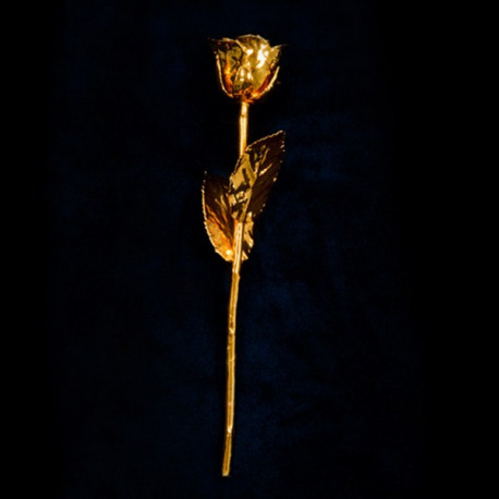 Comblez votre amour avec cette rose véritable cueillie à la main et dorée à l’or fin 24 carats