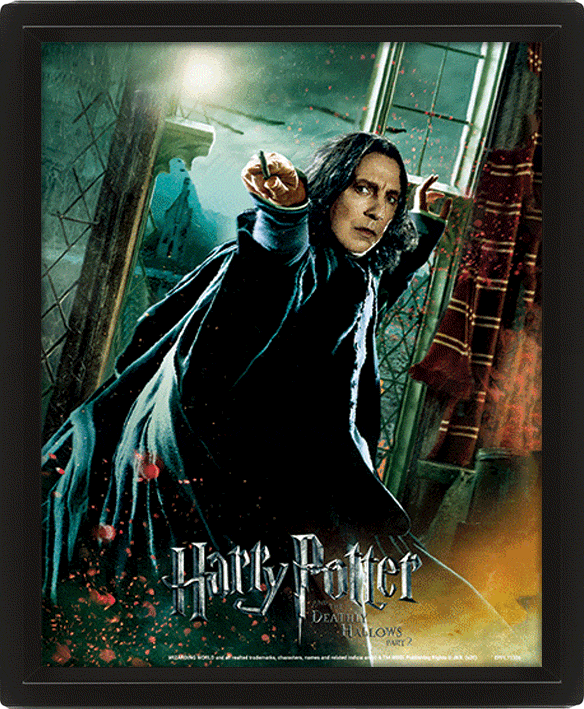 Cadre Harry Potter - Severus Rogue Les Reliques de la Mort Effet Animé 3D